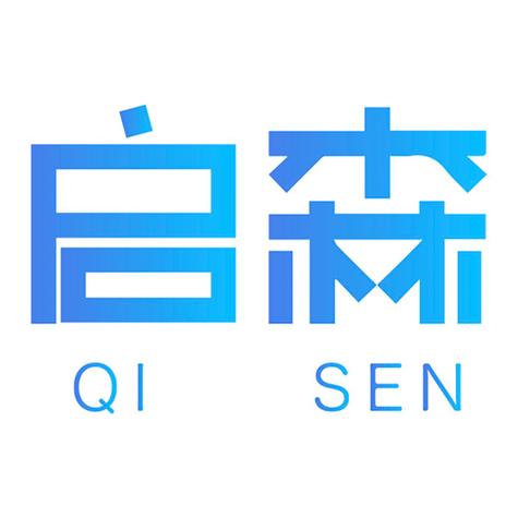 启森电商 数字洪流中的领航者